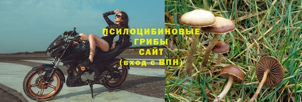 прущая мука Нягань