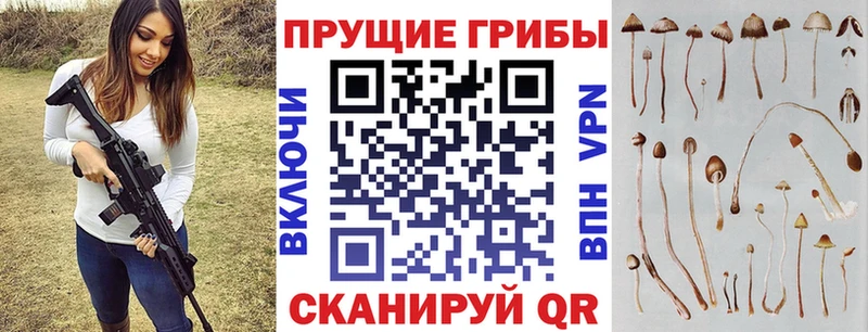 OMG онион  Ясногорск  Псилоцибиновые грибы мицелий  хочу  